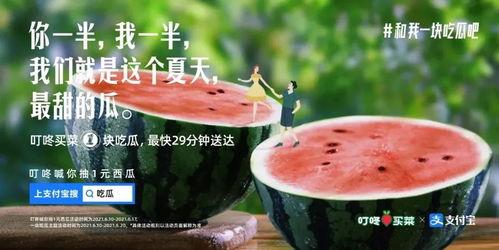 实习吃瓜文案,揭秘实习期间的“吃瓜”风云
