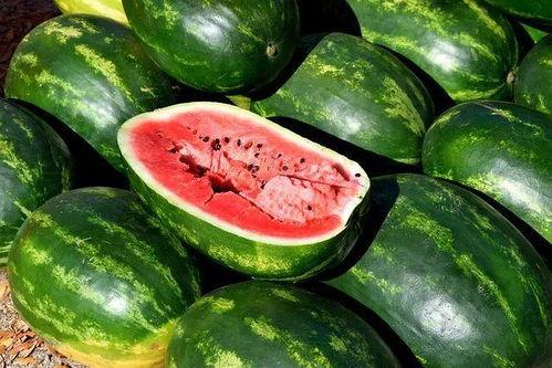 优雅吃瓜的食物图片,解锁美食新境界