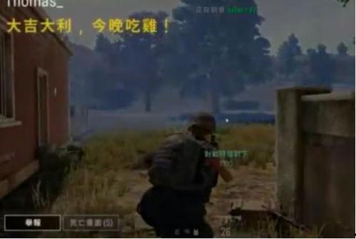 欧美吃鸡的瓜,揭秘游戏背后的精彩故事