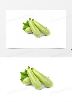 吃瓜视频画画大全,趣味横生的视觉狂欢