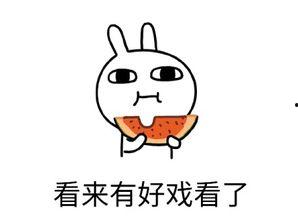 吃瓜心态注定吃瓜结果,揭秘“瓜农”的无奈与反思