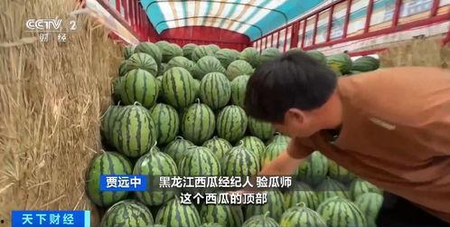 今年网络吃瓜,盘点那些让人笑到肚子疼的瓜料