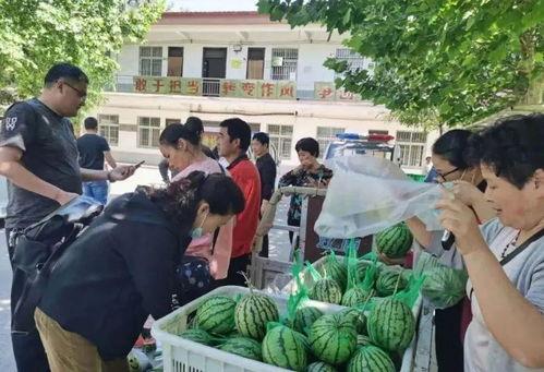 鹤岛吃瓜群众,揭秘幕后真相，一窥社会百态