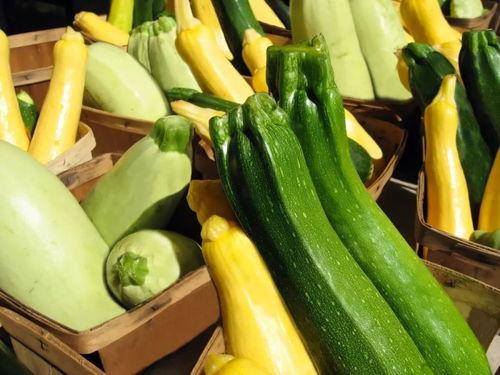 沭阳夏季吃的瓜,探寻当地特色瓜果美食之旅