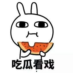 我请你吃瓜,揭秘那些令人捧腹的吃瓜故事