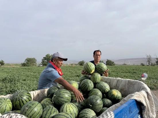 北戴河吃瓜比赛,吃瓜大赛欢乐盛启